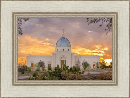 Tucson Valley of Fire