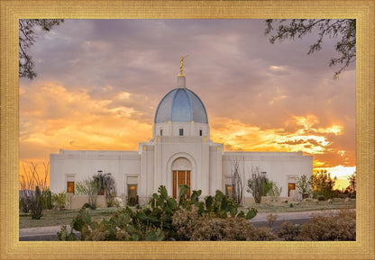 Tucson Valley of Fire