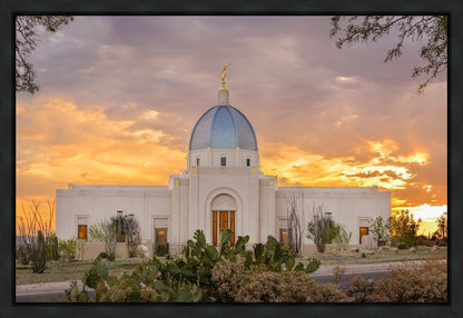 Tucson Valley of Fire