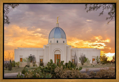 Tucson Valley of Fire