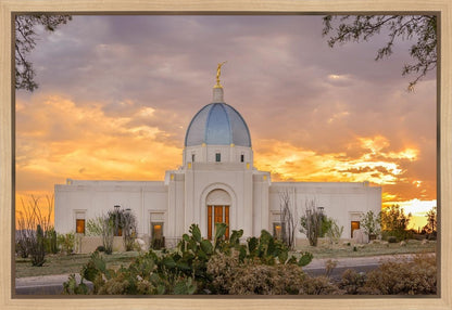Tucson Valley of Fire