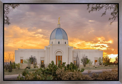 Tucson Valley of Fire