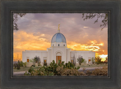 Tucson Valley of Fire
