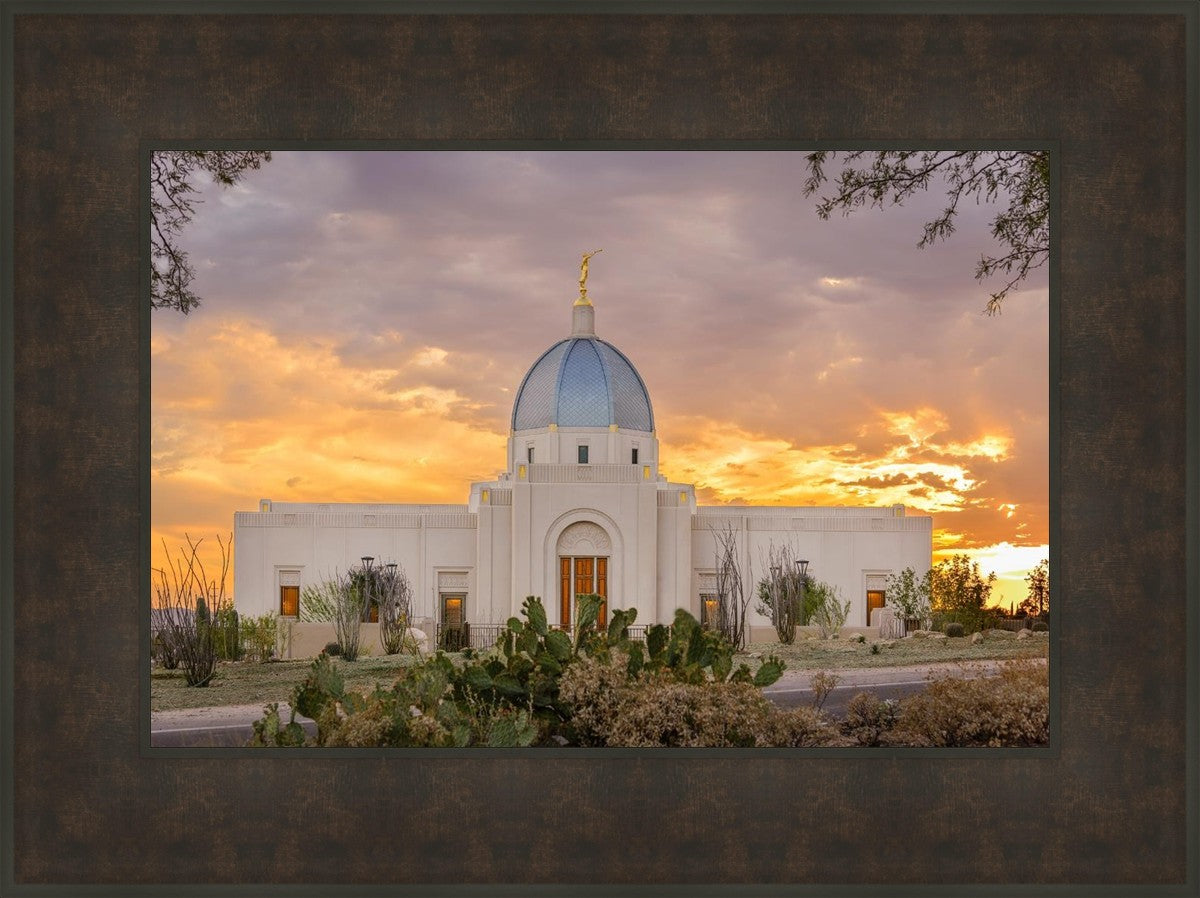 Tucson Valley of Fire
