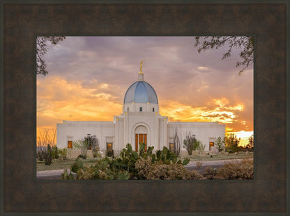 Tucson Valley of Fire