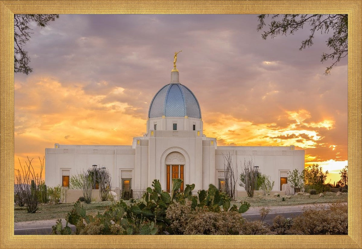 Tucson Valley of Fire