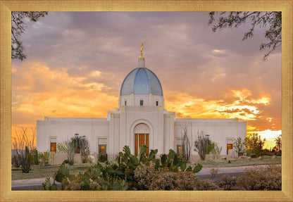 Tucson Valley of Fire