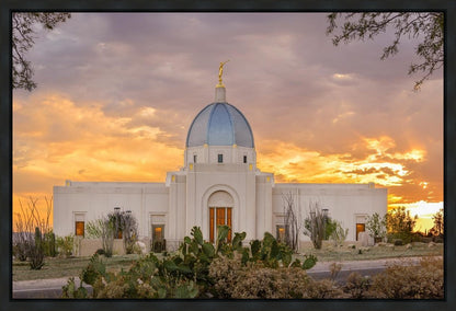Tucson Valley of Fire