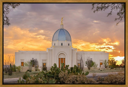 Tucson Valley of Fire