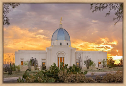 Tucson Valley of Fire