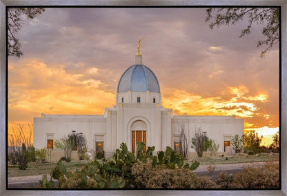 Tucson Valley of Fire