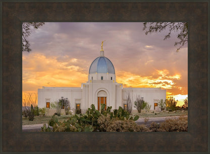 Tucson Valley of Fire