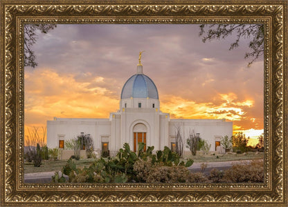 Tucson Valley of Fire