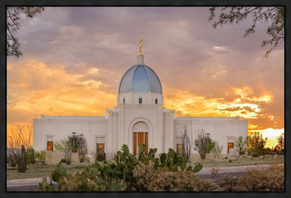 Tucson Valley of Fire