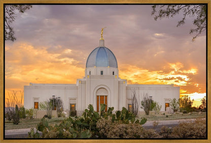 Tucson Valley of Fire
