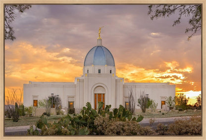 Tucson Valley of Fire