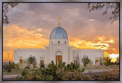 Tucson Valley of Fire