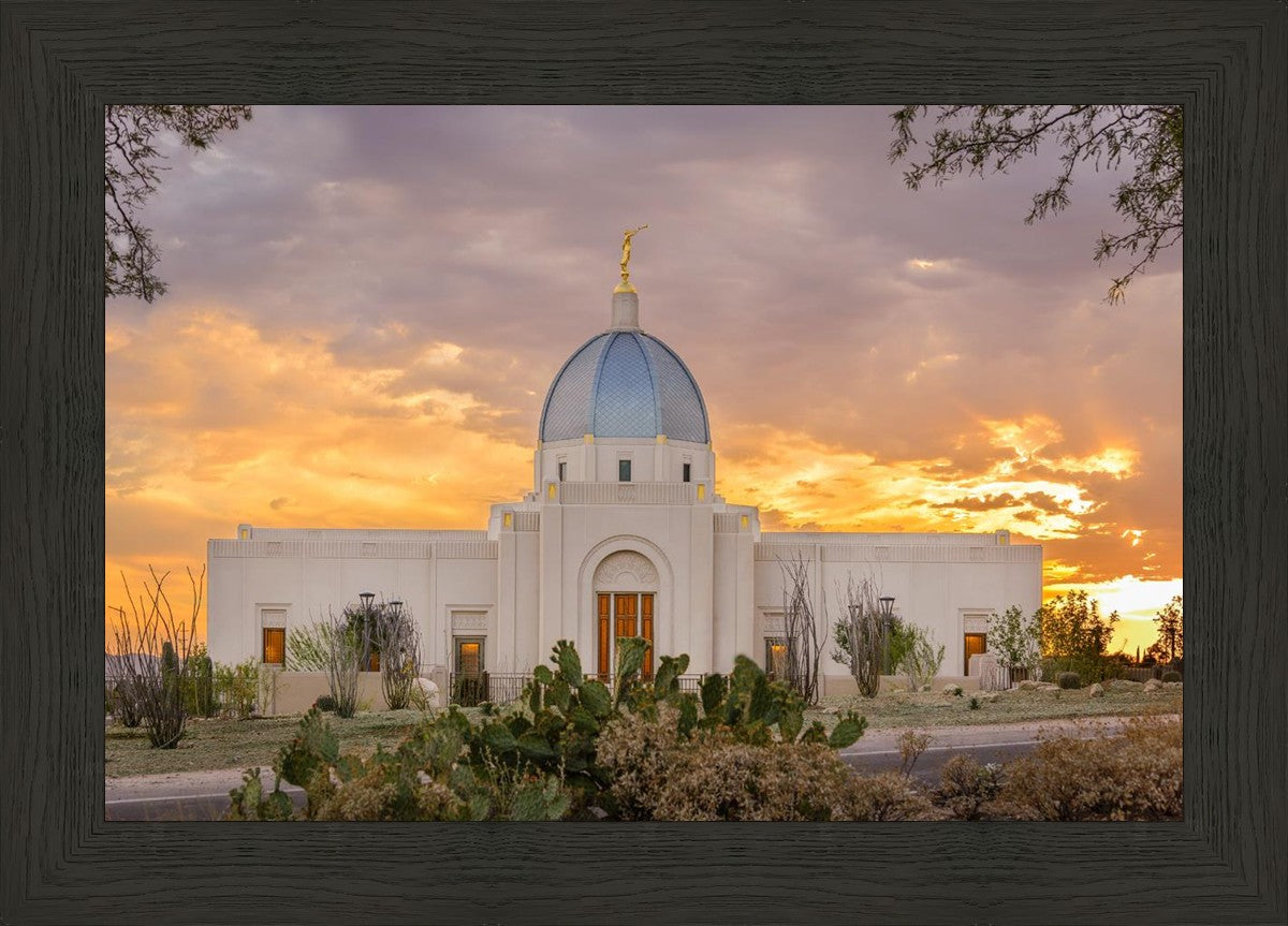 Tucson Valley of Fire