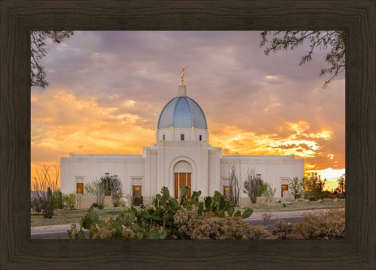 Tucson Valley of Fire