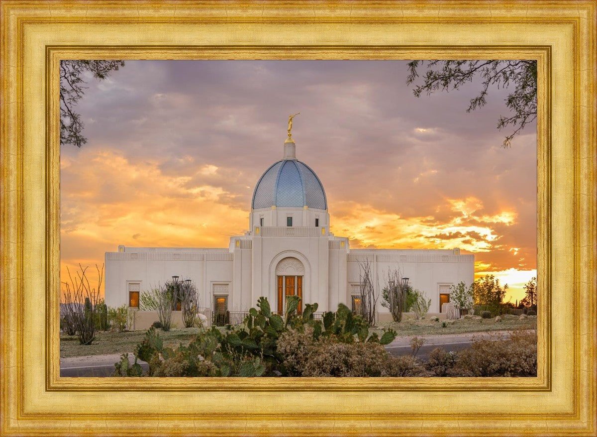 Tucson Valley of Fire