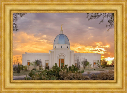 Tucson Valley of Fire