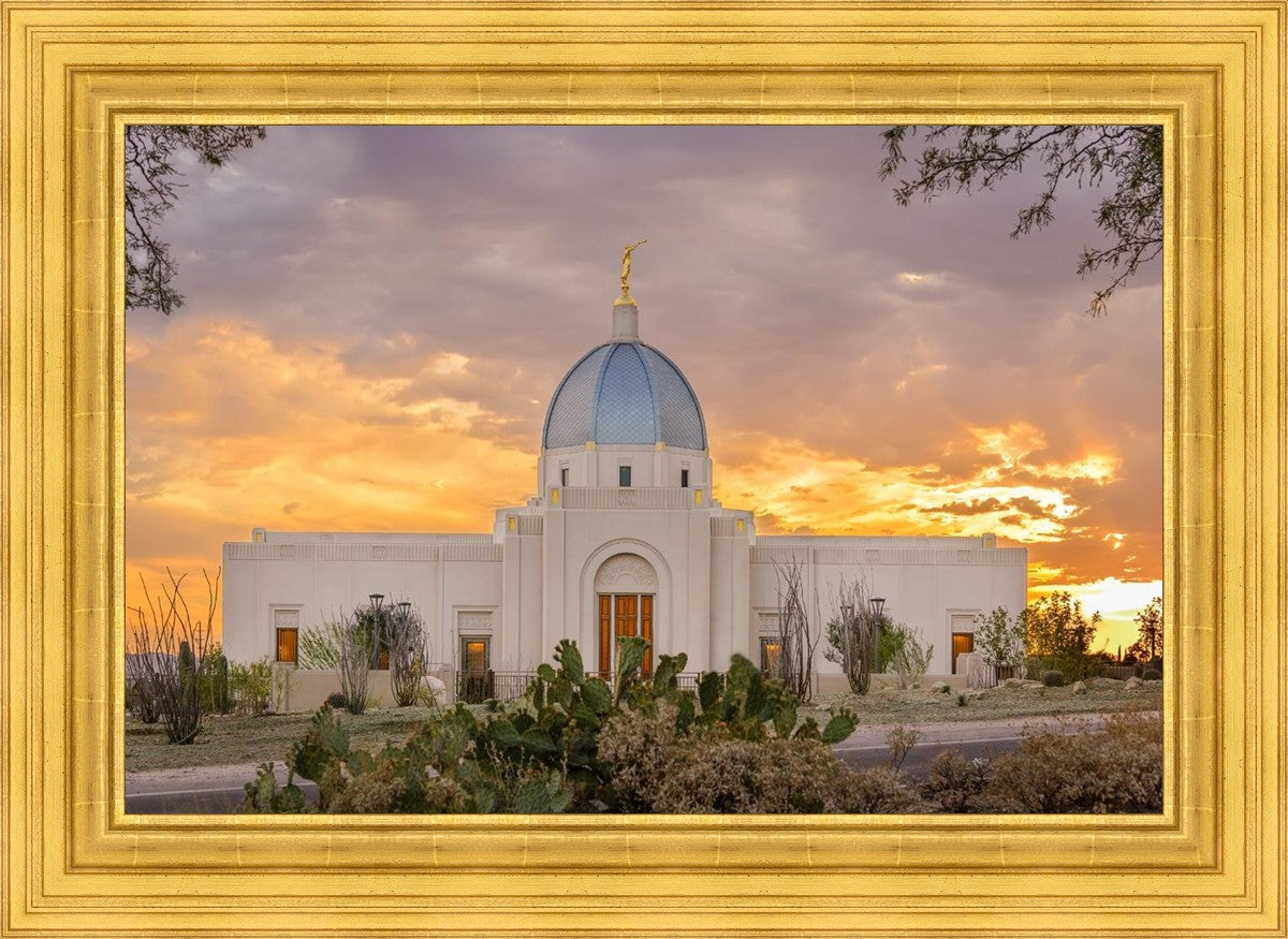Tucson Valley of Fire
