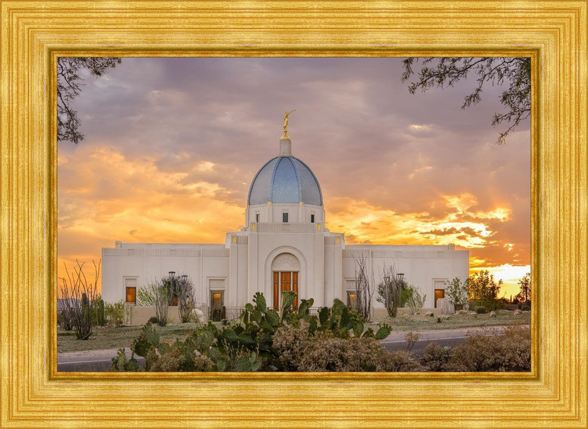 Tucson Valley of Fire