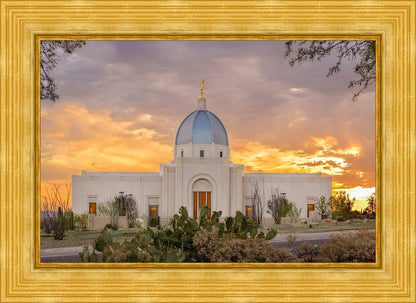 Tucson Valley of Fire