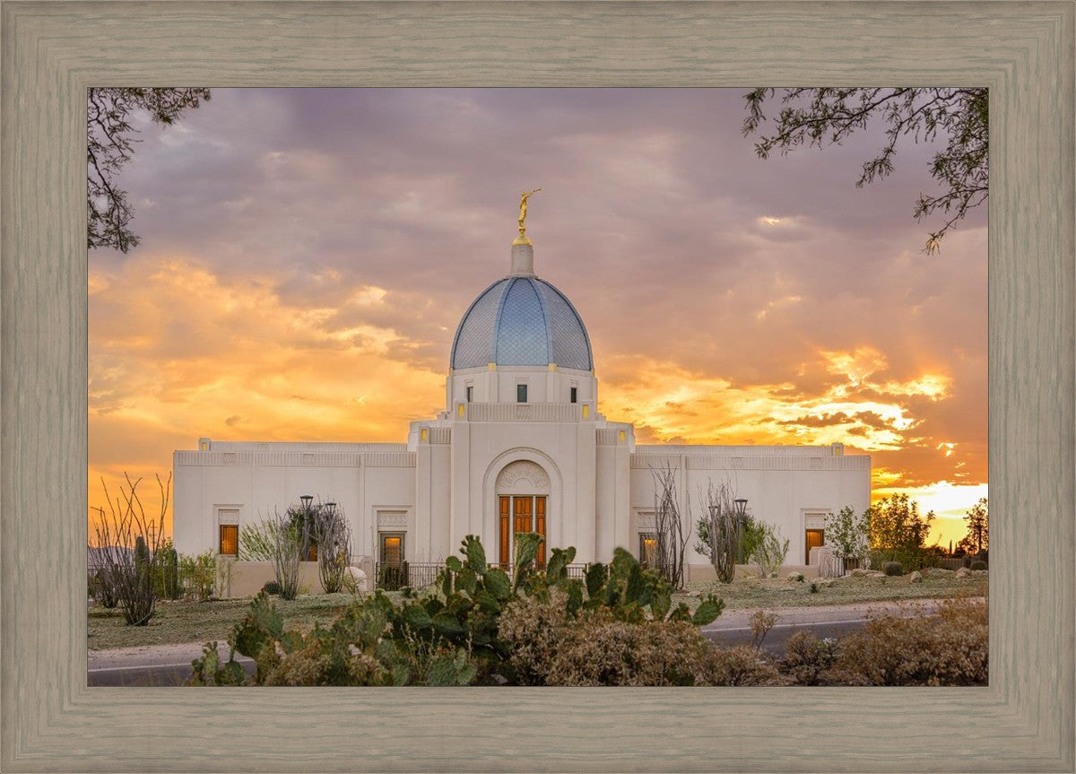 Tucson Valley of Fire