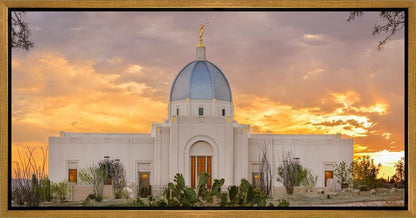 Tucson Valley of Fire
