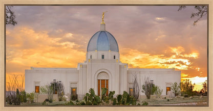 Tucson Valley of Fire