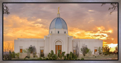 Tucson Valley of Fire