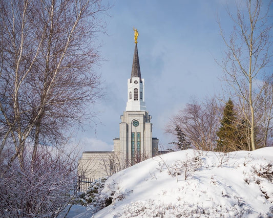 Boston Morning Snow Horizontal Gallery Wrap