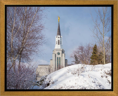 Boston Morning Snow Horizontal