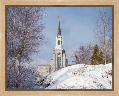 Boston Morning Snow Horizontal