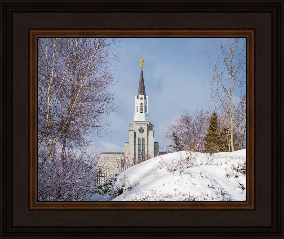 Boston Morning Snow Horizontal