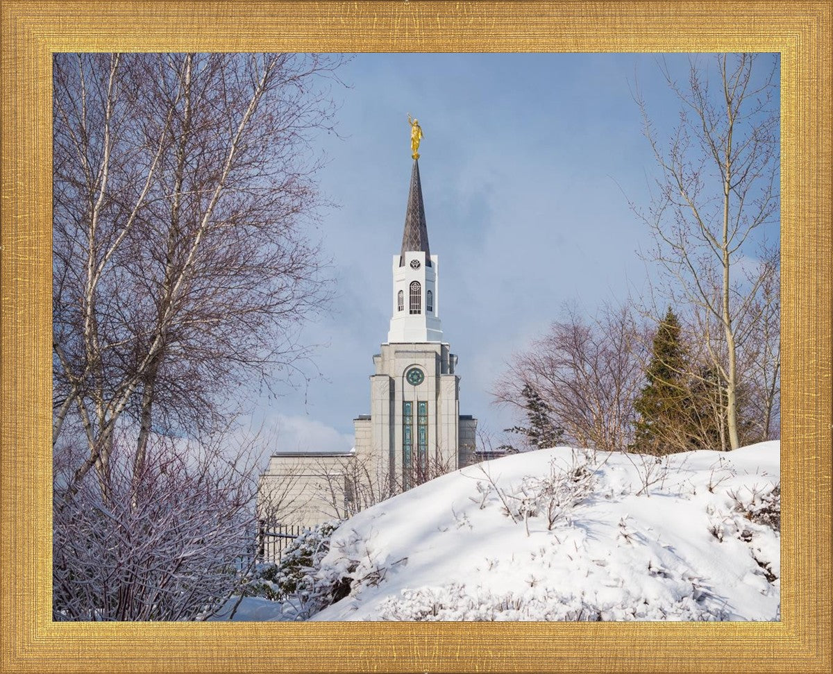Boston Morning Snow Horizontal