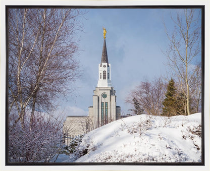 Boston Morning Snow Horizontal