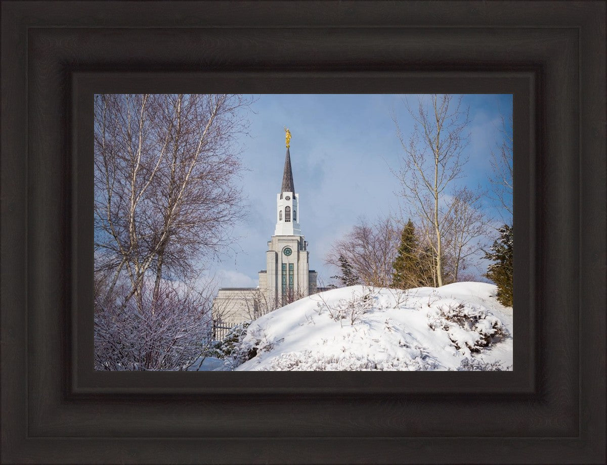 Boston Morning Snow Horizontal