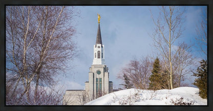 Boston Morning Snow Horizontal