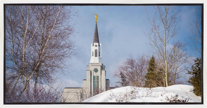 Boston Morning Snow Horizontal