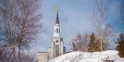 Boston Morning Snow Horizontal