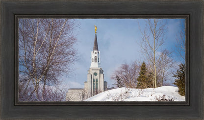 Boston Morning Snow Horizontal