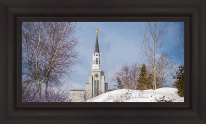 Boston Morning Snow Horizontal