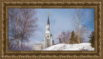 Boston Morning Snow Horizontal