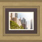 Manhattan Golden