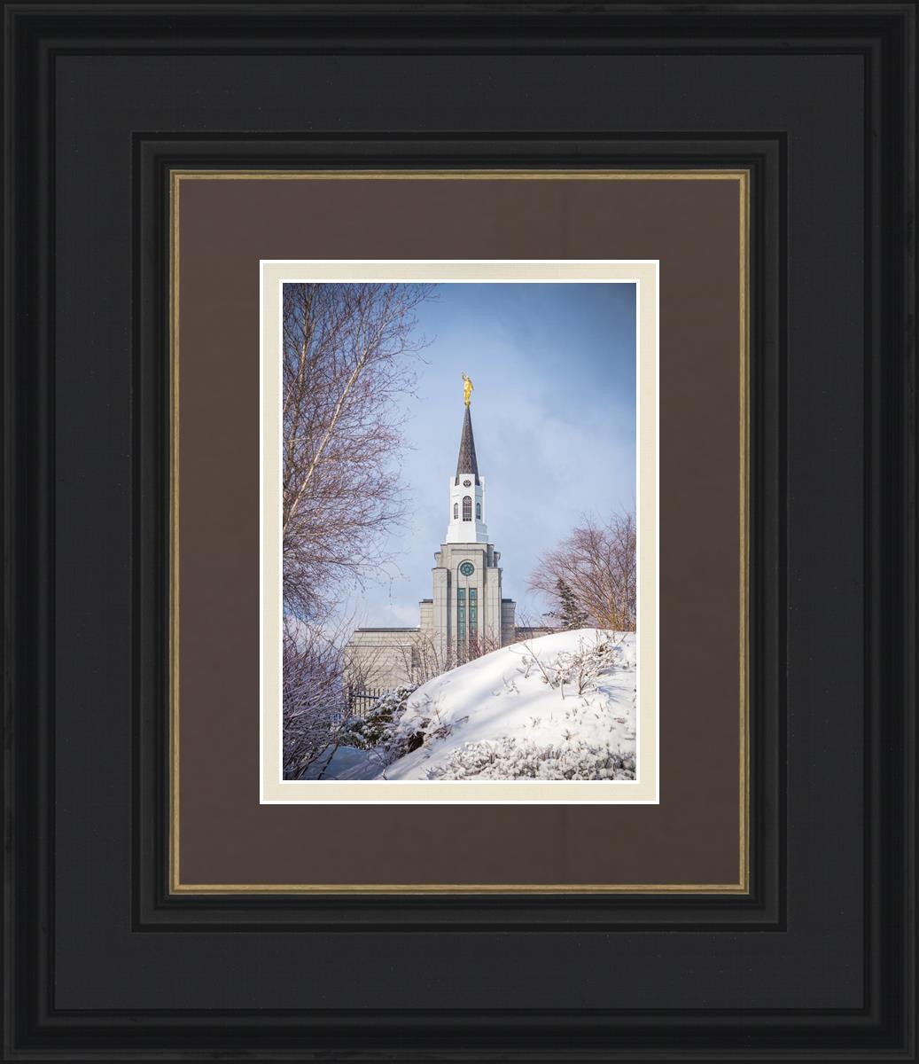 Boston Morning Snow Vertical