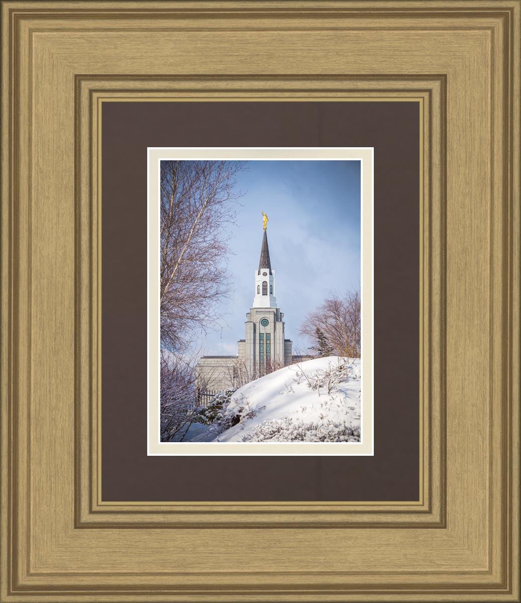 Boston Morning Snow Vertical
