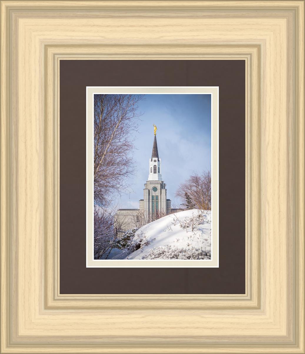 Boston Morning Snow Vertical