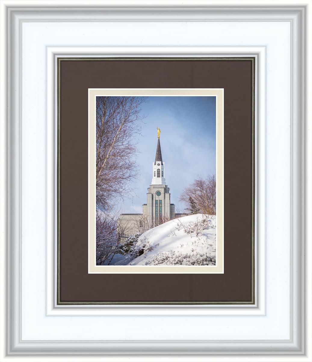 Boston Morning Snow Vertical
